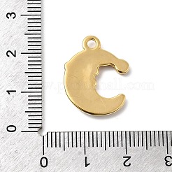 304 Stainless Steel Enamel Pendants&nbsp;STAS-P427-05A-G