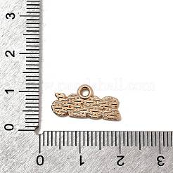 10Pcs Alloy Enamel Pendants&nbsp;PALLOY-D314-06KCG