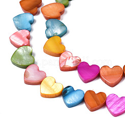 Natural Freshwater Shell Beads Strands&nbsp;SHEL-S278-03A-01