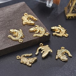 Alloy Pendants&nbsp;TIBEP-A040-015G-NR