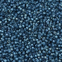 MIYUKI Delica Beads&nbsp;X-SEED-J020-DB2384
