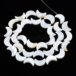 Natural Freshwater Shell Beads Strands&nbsp;SHEL-Q024-015B