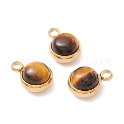 Natural Mixed Stone Charms&nbsp;G-K325-01G