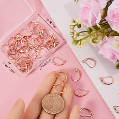 50Pcs 304 Stainless Steel Leverback Earring Findings&nbsp;STAS-BBC0005-30