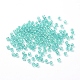 Eco-Friendly Transparent Acrylic Beads&nbsp;PL731-9-2
