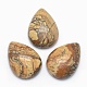 Natural Picture Jasper Cabochons&nbsp;G-E491-B-26-1