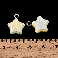 Opaque Resin Pendants&nbsp;RESI-B044-09P