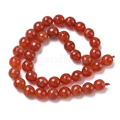 Natural Agate Beads Strands&nbsp;G-M435-B01-01P