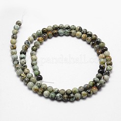 Natural African Turquoise(Jasper) Beads Strands&nbsp;G-D840-90-4mm