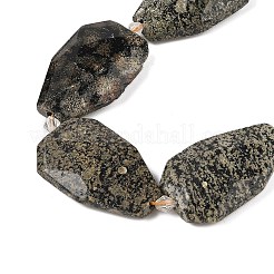 Natural Snowflake Obsidian Beads Strands&nbsp;G-P548-B20-01