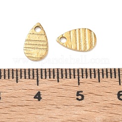 304 Stainless Steel Charms&nbsp;STAS-G393-05G-03