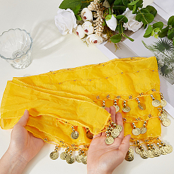 Silk Belly Dance Waist Scarf&nbsp;DIY-WH0816-566G-01