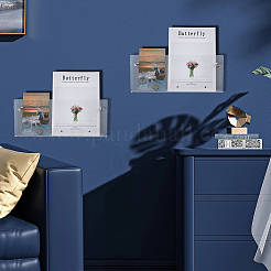 Transparent Acrylicc Wall Mounted Display Stands&nbsp;ODIS-WH0079-063