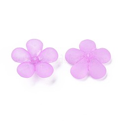 Transparent Acrylic Beads&nbsp;MACR-S373-116-D04