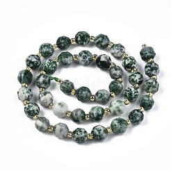 Natural Green Spot Jasper Beads Strands&nbsp;G-N326-100-07