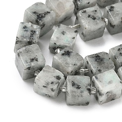 Natural Sesame Jasper Beads Strands&nbsp;G-D338-A20