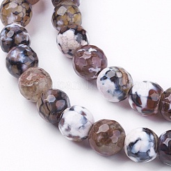 Natural Fire Crackle Agate Beads Strands&nbsp;G-L084-8mm-17