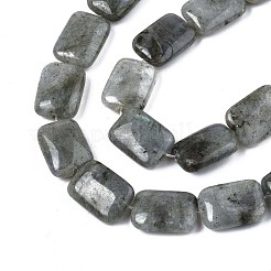 Natural Labradorite Beads Strands&nbsp;G-T121-13