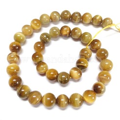 Natural Tiger Eye Beads Strands&nbsp;G-G544-10mm-01