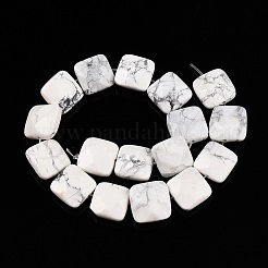 Natural Howlite Beads Strands&nbsp;G-T138-157