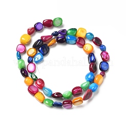 Natural Shell Beads Strands&nbsp;BSHE-G029-04