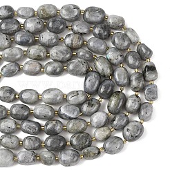 Natural Labradorite Beads Strands&nbsp;G-G453-D10-01