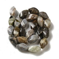 Natural Bamboo Leaf Agate Beads Strands&nbsp;G-NH0014-D01-01