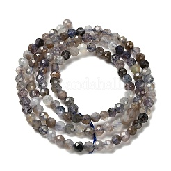 Natural Iolite Beads Strands&nbsp;LS-G-RM2025-22-3mm