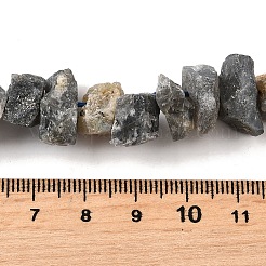 Natural Labradorite Beads Strands&nbsp;G-I283-F14