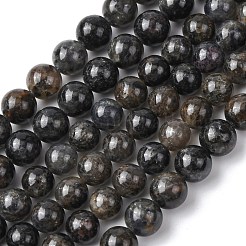 Natural Iolite Beads Strands&nbsp;G-K366-G02-01