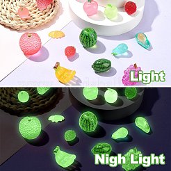 50Pcs 25 Styles Luminous Resin Dollhouse Decorations&nbsp;FIND-CJ0003-51