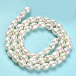 Natural Cultured Freshwater Pearl Beads Strands&nbsp;PEAR-E016-068