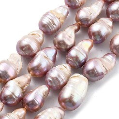 Natural Nucleated Pearl Beads Strands&nbsp;PEAR-B004-15D-02D