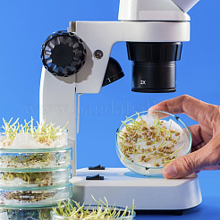 Flat Round Glass Biochemical Petri Dish&nbsp;GLAA-OC0001-14A