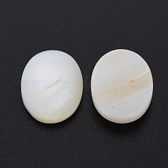 Natural Freshwater Shell Cabochons&nbsp;SHEL-S278-048B