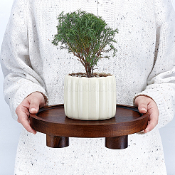 Wooden Desktop Storage Tray Holder&nbsp;DIY-WH0622-306