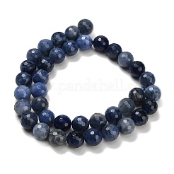 Natural Sodalite Beads Strands&nbsp;G-C280-B02-10mm