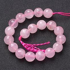 Natural Rose Quartz Beads Strands&nbsp;G-G099-F10mm-15