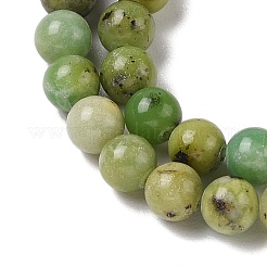 Natural Serpentine Bead Strands&nbsp;G-N166-6-1