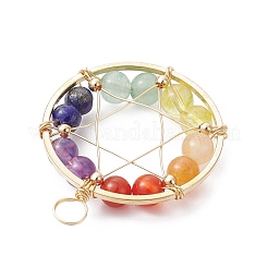 Gemstone Copper Wire Wrapped Pendants&nbsp;PALLOY-JF02305-01