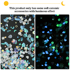 Ornament Accessories&nbsp;DIY-SC0030-55C