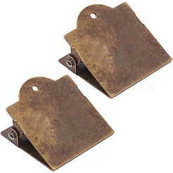 Iron Clips&nbsp;AJEW-WH20017-90AB