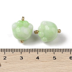 Acrylic Pendants&nbsp;MACR-C033-06D