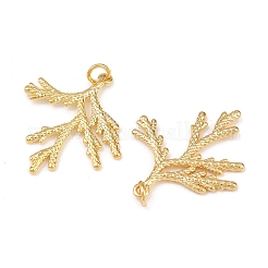 Brass Pendants&nbsp;KK-L255-01G-02