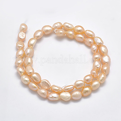 Natural Cultured Freshwater Pearl Beads Strands&nbsp;PEAR-K003-16