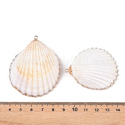 Natural Scallop Shell Big Pendants&nbsp;SSHEL-N038-13
