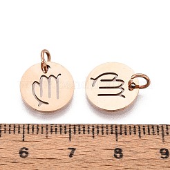 304 Stainless Steel Charms&nbsp;STAS-Q201-T445-6R