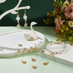 50Pcs Alloy Charms&nbsp;FIND-PH0010-52