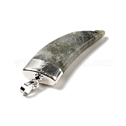 Natural Labradorite Pendants&nbsp;G-P474-04S-03