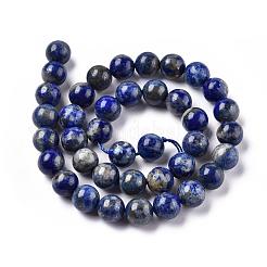 Natural Lapis Lazuli Round Bead Strands&nbsp;X-G-E262-01-10mm